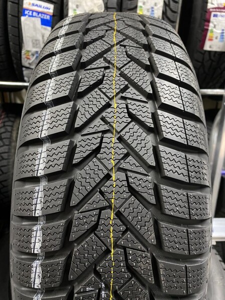 Nexen WinGuard Sport 2 205/55R16 91H